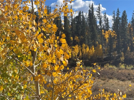 581 Longbow Drive, Como, CO 80432, ,Land,For Sale,Longbow,REC1527074