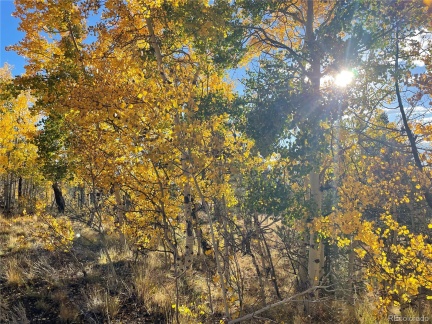 1314 Caracara Lane, Como, CO 80432, ,Land,For Sale,Caracara,REC7268221