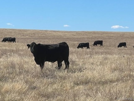 TBD County Road 194, Elbert, CO 80107, ,Land,For Sale,TBD County Road 194,REC8542031