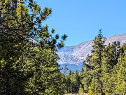 322 Juniper Drive, Twin Lakes, CO 81251, ,Land,For Sale,Juniper,REC8960837