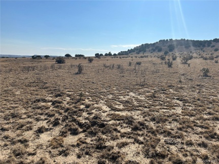 TBD 40AC Las Animas Ranch, Dehli, CO 81059, ,Land,For Sale,Las Animas Ranch,REC3615797