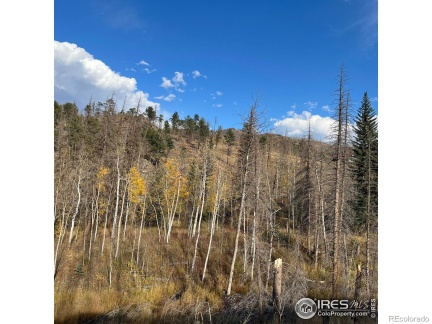 11 Monument Gulch Way, Bellvue, CO 80512, ,Land,For Sale,Monument Gulch,RECIR1021065