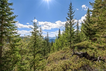 508 Hilltop Road, Idaho Springs, CO 80452, ,Land,For Sale,Hilltop,REC8240386