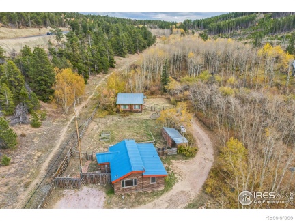 24427 Peak to Peak Highway, Nederland, CO 80466, 2 Bedrooms Bedrooms, ,1 BathroomBathrooms,Residential,For Sale,Peak to Peak,RECIR1020569
