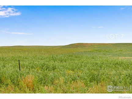 7 TBD County Road 122, Carr, CO 80612, ,Land,For Sale,TBD County Road 122,RECIR1021849