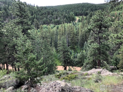 0 Cold Springs Drive, Nederland, CO 80466, ,Land,For Sale,Cold Springs,RECIR1022248