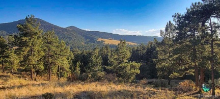 279 Wagonwheel Road, Guffey, CO 80820, ,Land,For Sale,Wagonwheel,REC5574102