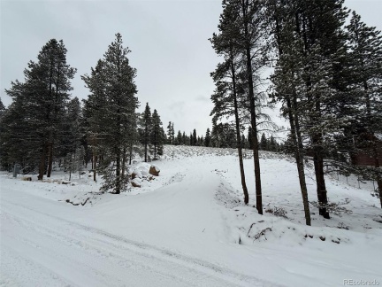 123 Birch Drive, Twin Lakes, CO 81251, ,Land,For Sale,Birch,REC6641682