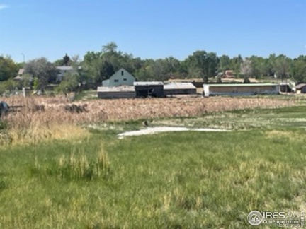 5555 69th Street, Arvada, CO 80003, 2 Bedrooms Bedrooms, ,1 BathroomBathrooms,Residential,For Sale,69th,RECIR1004692