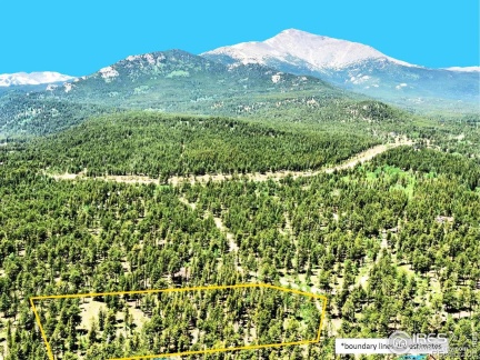 246 Tahosa Park South Road, Allenspark, CO 80510, ,Land,For Sale,Tahosa Park South,RECIR1022596
