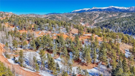 434 Dandy Jim Drive, Cripple Creek, CO 80813, ,Land,For Sale,Dandy Jim,REC9518963