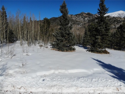 Castle Ridge View, Divide, CO 80813, ,Land,For Sale,Castle Ridge,REC6042473