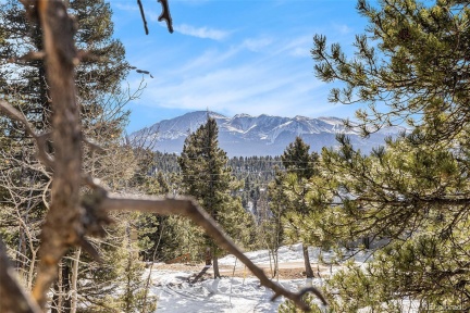 188 Pike View Drive, Divide, CO 80814, ,Land,For Sale,Pike View,REC2522869