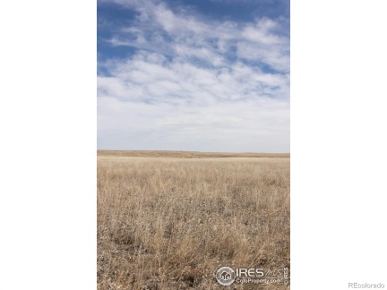 0 CR 102, Nunn, CO 80648, ,Land,For Sale,CR 102,RECIR1022957