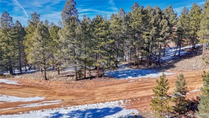 79 Huntsman Circle, Florissant, CO 80816, ,Land,For Sale,Huntsman,REC7620824