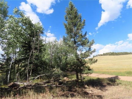 471 Horseshoe Trail, Florissant, CO 80816, ,Land,For Sale,Horseshoe,REC2879835