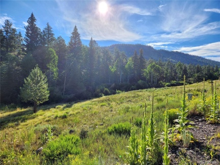 274 Church Creek, South Fork, CO 81154, ,Land,For Sale,Church Creek,REC2633957