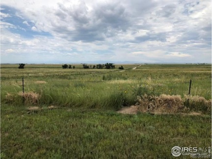 Lot J County Road 43 and 96, Pierce, CO 80650, ,Land,For Sale,Lot J County Road 43 and 96,RECIR1023861
