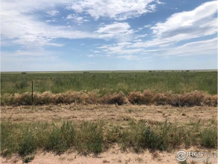 Lot I County Road 43 and 96, Pierce, CO 80650, ,Land,For Sale,Lot I County Road 43 and 96,RECIR1023862