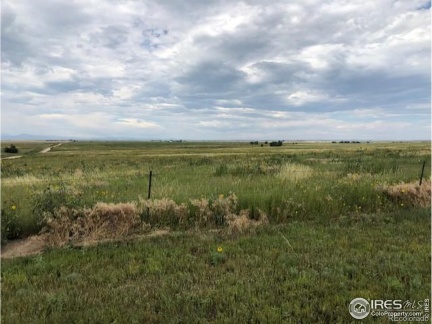 Lot H County Road 43 and 96, Pierce, CO 80650, ,Land,For Sale,Lot H County Road 43 and 96,RECIR1023863
